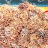  Râu Bắp Sấy Khô ( Râu Ngô Khô - Trà Râu Bắp) Hàng Sạch Thơm Loại 1 - Túi 500gr 