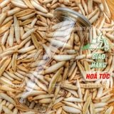  Bánh Đuông Dừa Truyền Thống Lon 300Gram & Túi 1KG (Bánh Men Tăm/ Bánh Còn Sâu/ Bánh Con Sùng) 