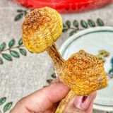  Nấm Tùng Nhung Sấy Khô (Nấm Thông Sấy Khô) - Túi 100gr 