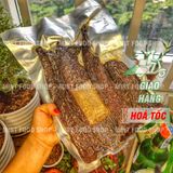  Thịt Lợn Gác Bếp Vị Tây Bắc (Kèm Chẩm Chéo) - Túi 500Gram HCK 
