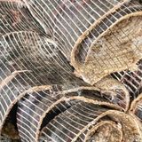  Đỗ Trọng Khô Miếng To Đẹp Loại 1 Sạch Thơm (Eucommiaceae - Tư Trọng – Ngọc Ti Bì – Đỗ Trọng Bắc - Mộc Miên) Túi 1kg 