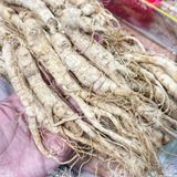  Nhân Sâm Trường Bạch Size 60 CỦ/ 1KG (Nhân Sâm Nguyên Củ - Nhân Sâm Sấy Khô) Hộp 500g 