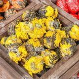  Trà Phổ Nhĩ Cúc Vàng (Trà Phổ Nhĩ Nở Hoa - Trà Pu'er Vân Nam - Trà Kim Qua Cống - Trà Nhân Đầu Cống) - Túi 250gr 