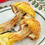  Nấm Tùng Nhung Sấy Khô (Nấm Thông Sấy Khô) - Túi 100gr 
