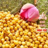  Hạt Sen Sấy Giòn Ăn Liền 100% Không Đường - Lon 350gram 