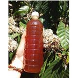  Mật Ong Hoa Cafe Nguyên Chất Đắk Lắk Chai 1L 