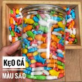  Kẹo Cá Màu Sắc Lon 500Gram - Kẹo Cứng - Kẹo Ngậm 