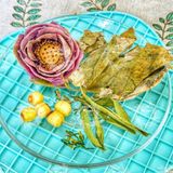  Trà Hoa Sen (Lotus) Mix Hạt Sen - Hộp 5 Set (Hoa Sen - Hạt Sen - Lá Sen - Cỏ Ngọt) 