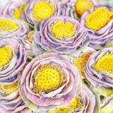  Trà Hoa Sen (Lotus) Sấy Lạnh Nguyên Bông - Hộp 5 Bông 