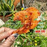  Ba Rọi  Cháy Tỏi Ớt   Lon 250Gram & Túi 1KG 