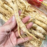  Nhân Sâm Trường Bạch Size 60 CỦ/ 1KG (Nhân Sâm Nguyên Củ - Nhân Sâm Sấy Khô) Túi 100g 