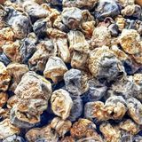  Nấm Rơm Sấy Khô (Nấm Mủ Rơm Khô - Volvariella volvacea) 
