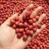  Đậu Phộng Da Cá Củ Dền Lon 180Gram 