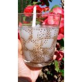  Thạch Dừa Thái Lan - Lon 500gr 