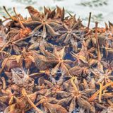  Hoa Hồi Khô Nguyên Cánh Túi 500Gram (Hồi Sao - Đại Hồi Hương -  Tai Vị - Bác Giác Hồi Hương) 
