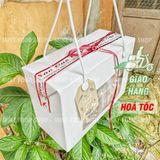  Yến Chưng Khánh Hòa (Kèm Đồ Chưng) Hộp 10 Set 