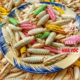  Bánh Đuông Dừa Mix Vị (Bánh Con Sâu) Lon 300Gr & Túi 1KG 
