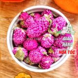  Hoa Cúc Bách Nhật Sấy Lạnh - Lon 100gr 