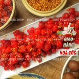  Chùm Ruột Rim Kèm Muối Ớt Tây Ninh - Lon 500gr 