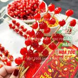  Chùm Ruột Xiên Que Tuổi Thơ Kèm Muối Chấm Hộp 400gr (Hộp 22 Xiên) 