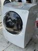 ( Used 95% ) TOSHIBA TW Y1000 MÁY GIẶT SẤY BLOCK