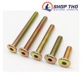  Bulong lục giác chìm mũ dẹt M8*40 