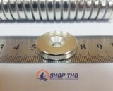  Nam châm hạt tròn có lỗ 25x5mm 