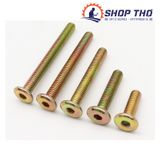  Bulong lục giác chìm mũ dẹt M6*40 