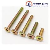  Bulong lục giác chìm mũ dẹt M6*30 