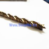  Mũi khoan Dexter pro 5mm chuôi tròn chất lượng cao 