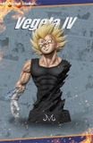  Majin Vegeta - Hero Belief Studio 