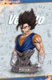  Hero belief Studio - Vegito 