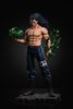  TH Studio - Monkey D Dragon 