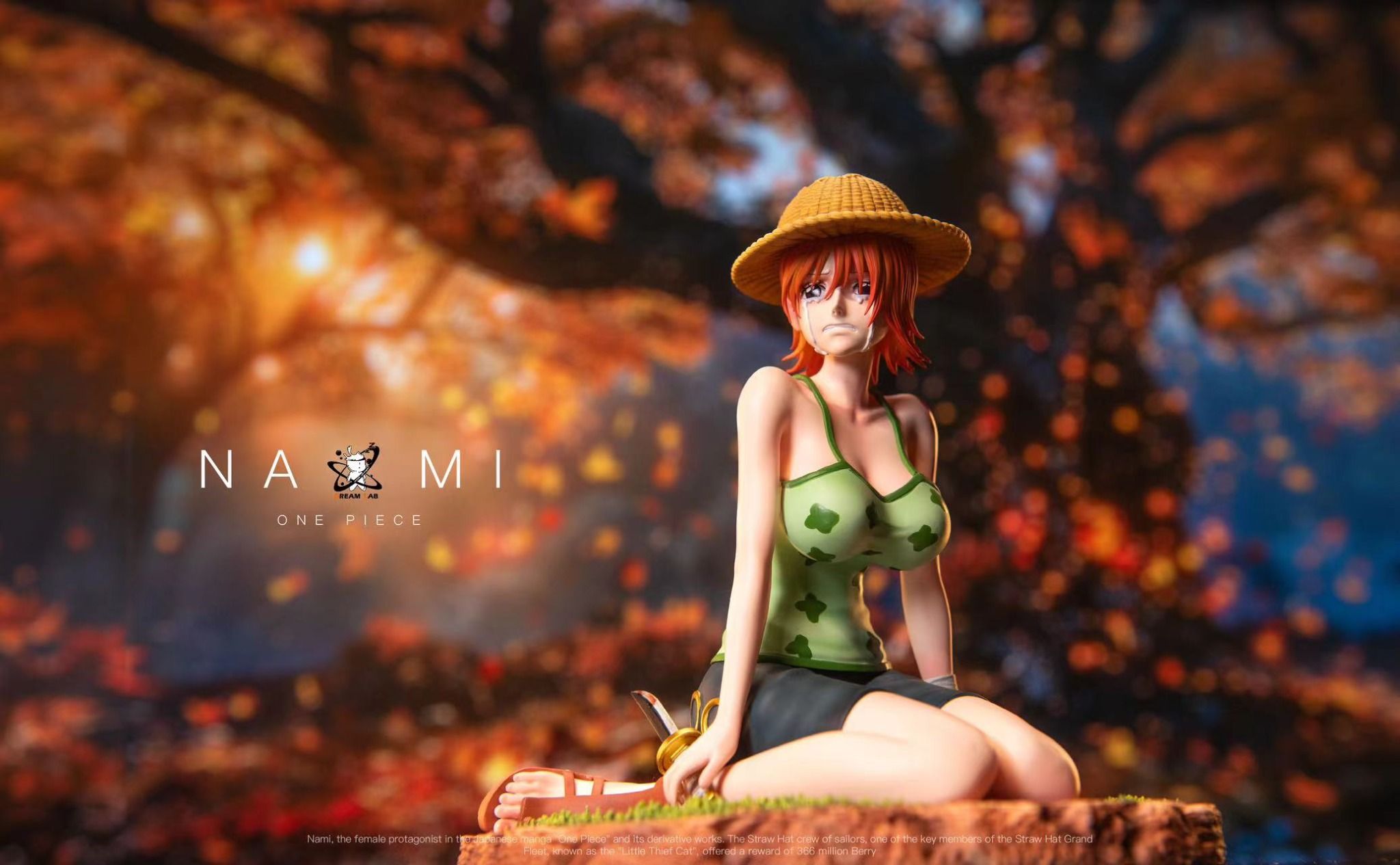 Dream Lab Studio - Nami - One Piece – Flash Resin Shop