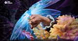  UNO Studio - Marshall D Teach - One Piece 