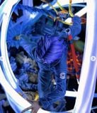  Last Sleep Studio - Future Trunks 