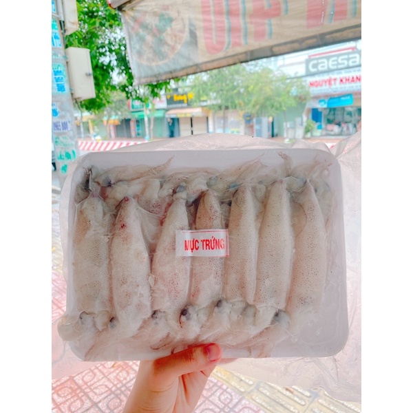 Mực trứng khay 1kg