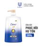 Dầu gội Dove 880g