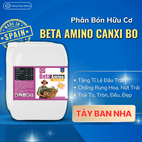  Phân Bón Hữu Cơ Amino - Beta Amino Canxi Bo Nhậu Khẩu Châu Âu 