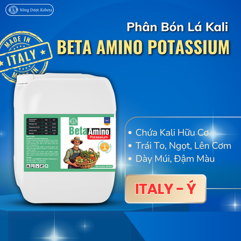  Phân Bón Lá Sinh Học Amino - Beta Amino Potassium Nhập Khẩu Châu Âu 