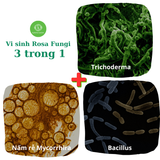  Viên nấm cộng sinh rễ Mycorrhira - Trichoderma - Bacillus 235 bào tử 
