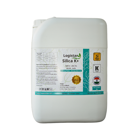  Phân bón lá Kali trung lượng Silica K+ 