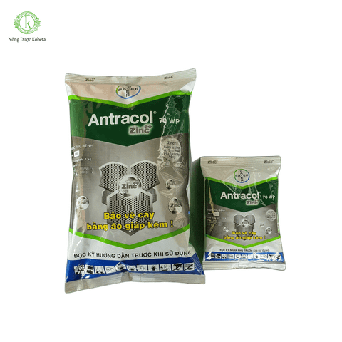  Thuốc trừ bệnh ANTRACOL 70WP 