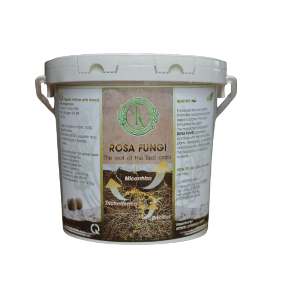 Viên nấm cộng sinh rễ Mycorrhiza Trichoderma Bacillus