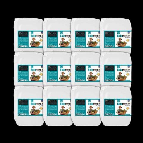  Phân Bón Sinh Học Đa Lượng Amino - Beta Amino Max Nhập Khẩu Châu Âu 