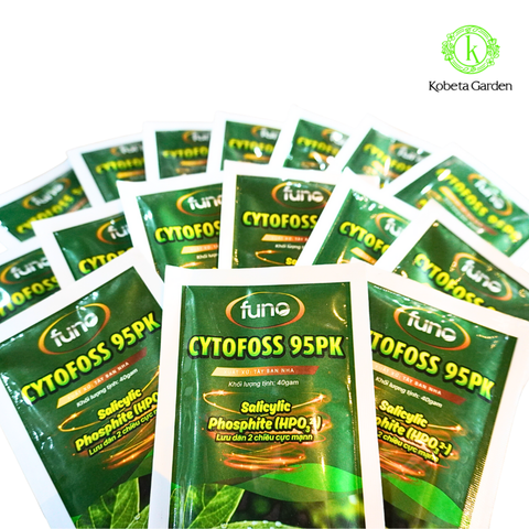 CYTOFOSS 95PK - SALICYLIC PHOSPHITE (HPO32-) - Lưu dẫn 2 chiều cực mạnh