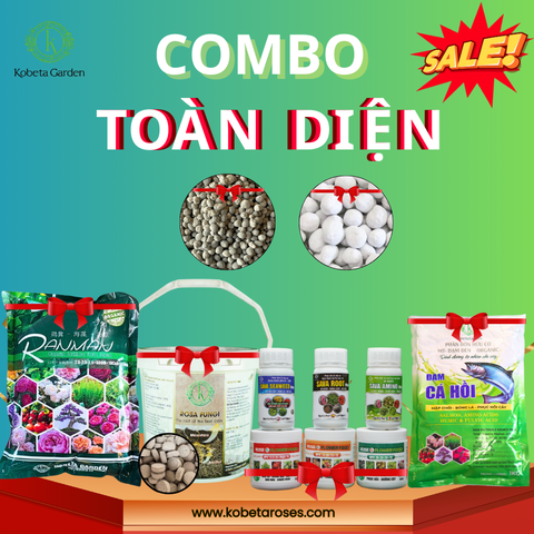 Combo Toàn diện