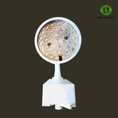 Đèn Led Ray Chuyên Dùng Cho Cây Trong Nhà 30W