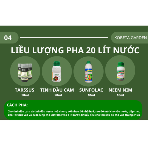 Combo 4 hữu cơ phòng bệnh
