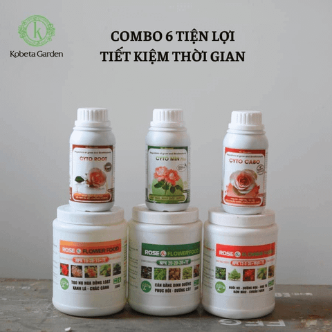 Combo 6 Phân bón phát triển toàn diện cây